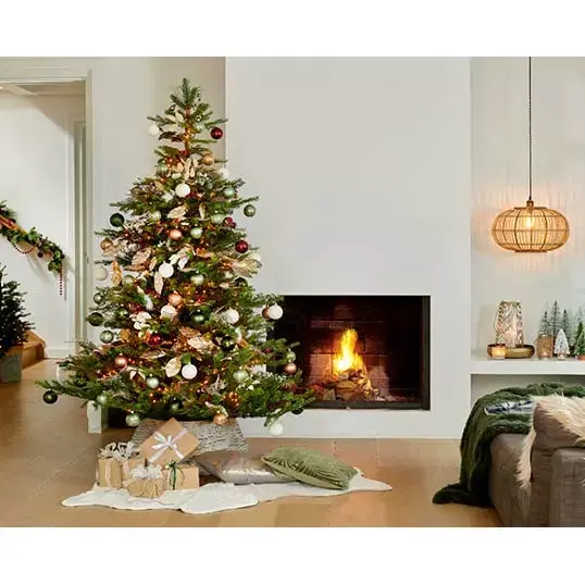 Everlands Grandis Fir Green - 300 cm - afbeelding 5
