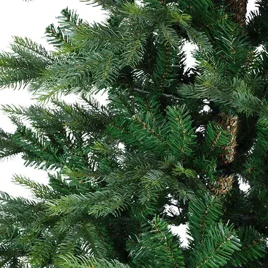 Everlands Grandis Fir Green - 300 cm - afbeelding 6