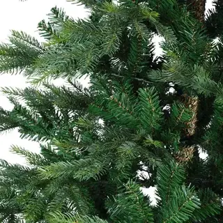 Everlands Grandis Fir Green - 300 cm - afbeelding 6