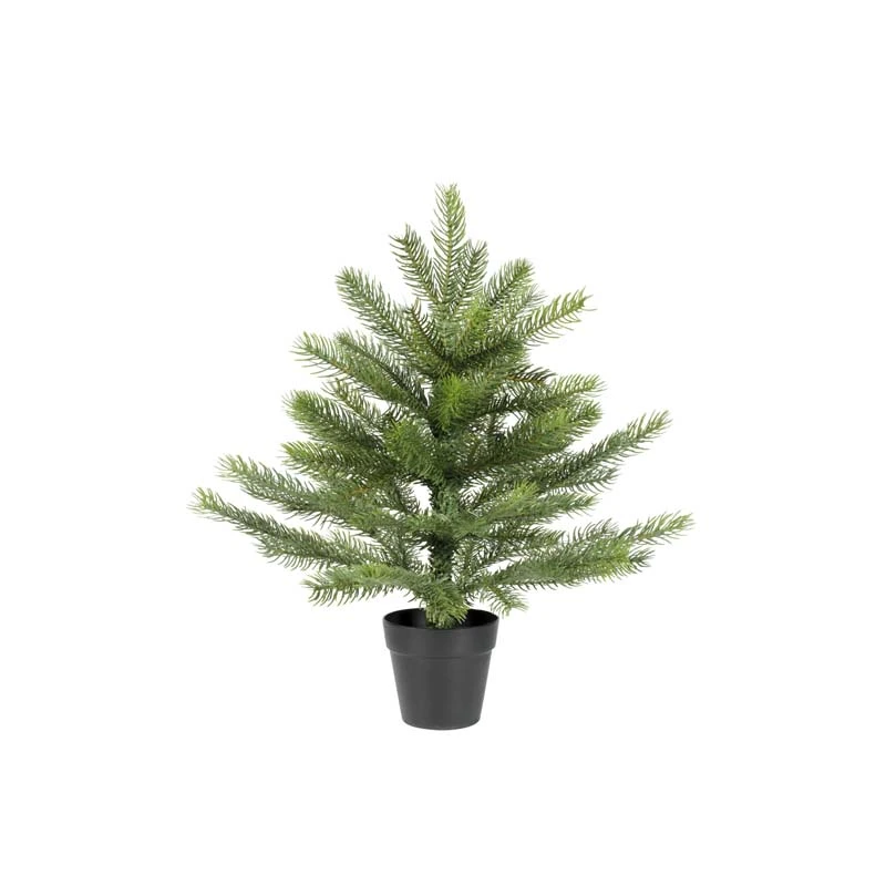 Everlands Grandis mini boom - 45cm - afbeelding 1