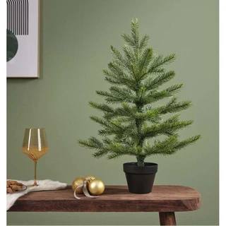 Everlands Grandis mini boom - 45cm - afbeelding 2