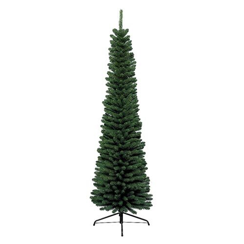 Everlands Pencil Pine - 240 cm