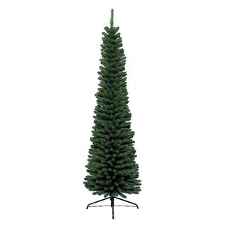 Everlands Pencil Pine - 240 cm