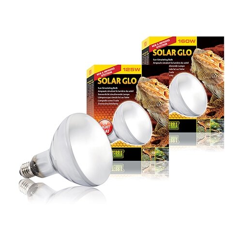 Exo Terra Solar Glo Warmte en UVBlamp 125 W Tuincentrum De Boet