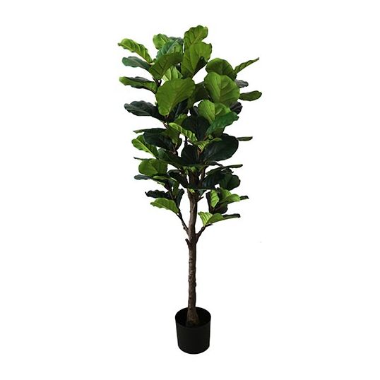 Kunst Ficus Lyrata - 160cm