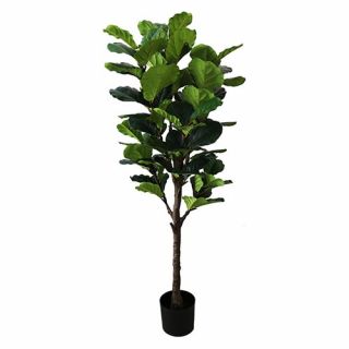 Kunst Ficus Lyrata - 160cm