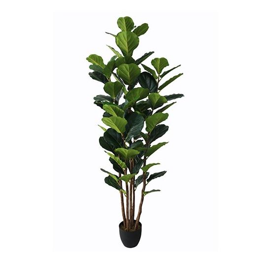 Kunst Ficus Lyrata - 180cm