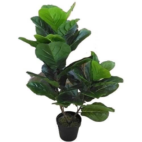 Kunst Fiddle tree - 85 cm