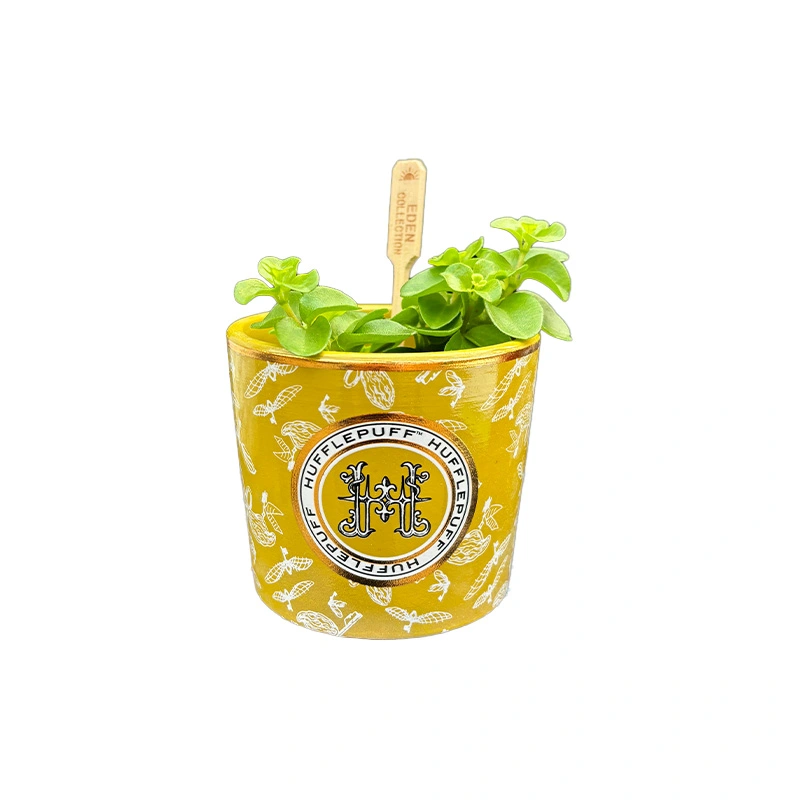 Harry Potter Bloempot Hufflepuff - Ø8,5x7,5 cm - afbeelding 2