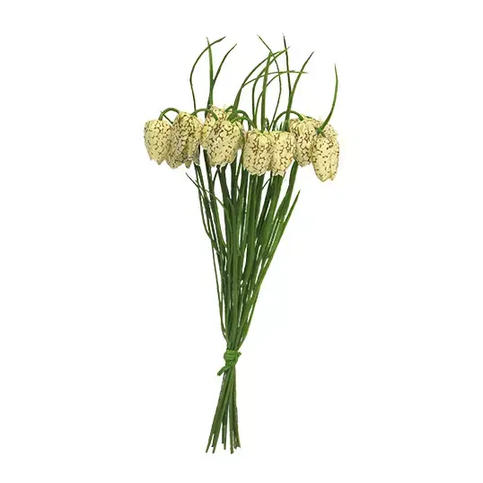 Nova Nature Fritillaria Bundle Rachel beige 36cm