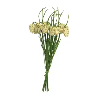 Nova Nature Fritillaria Bundle Rachel beige 36cm