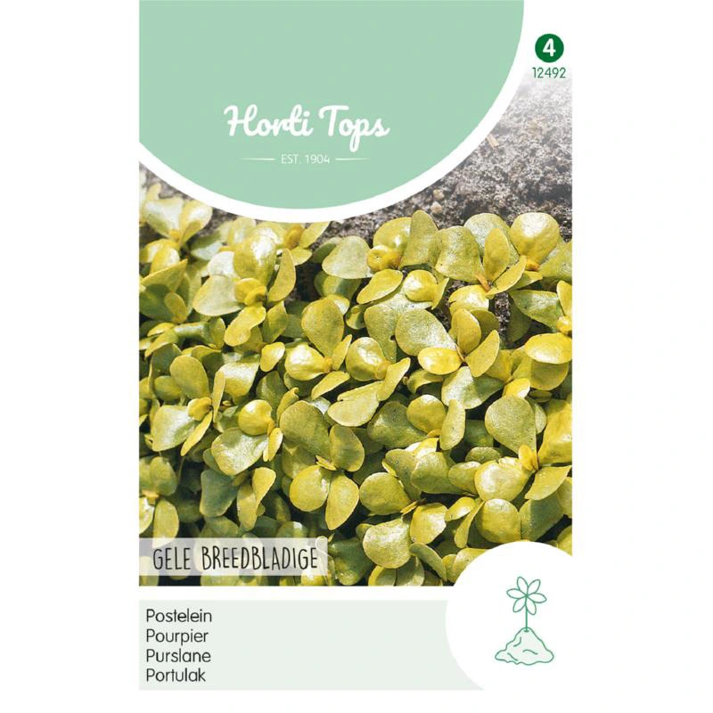 Horti Tops Postelein Breedbladige Gele - afbeelding 1