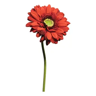 Kunstbloem Gerbera Nice red 48cm