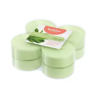 Bolsius Geurtheelicht Maxi True Scents 8 st. - Green Tea