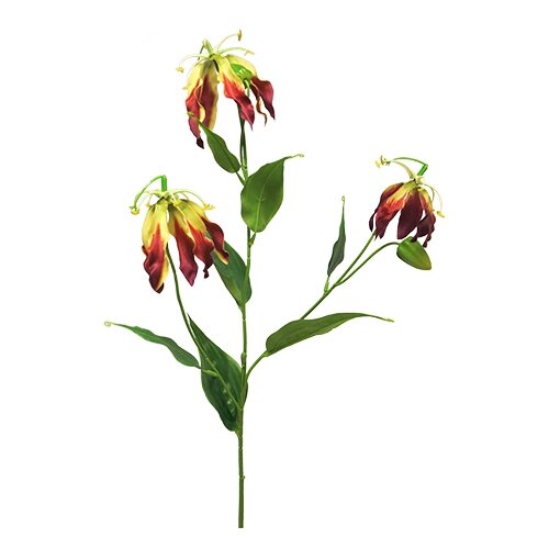 Kunst Gloriosa Michelle burgundy - 84 cm