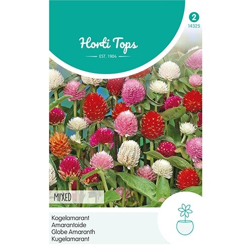 Horti Tops Gomphrena, Kogelamarant gemengd - afbeelding 1