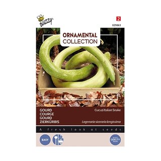 Buzzy® Ornamental Gourd Italian Snake - afbeelding 1