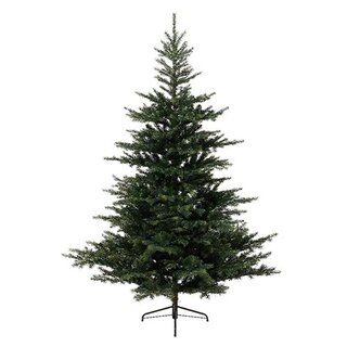 Everlands Grandis Fir Green - 180 cm koopt u bij Tuincentrum De Boet