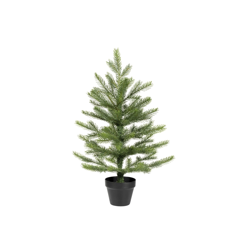Everlands Grandis mini boom - 60cm - afbeelding 1