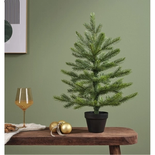 Everlands Grandis mini boom - 60cm - afbeelding 2