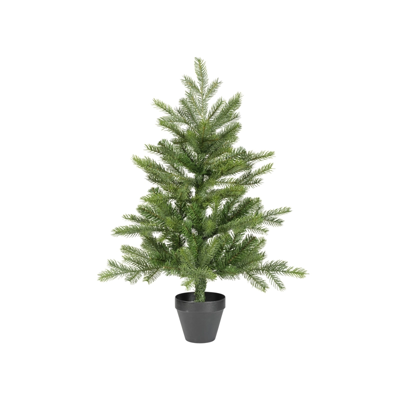 Everlands Grandis mini boom - 75cm - afbeelding 1