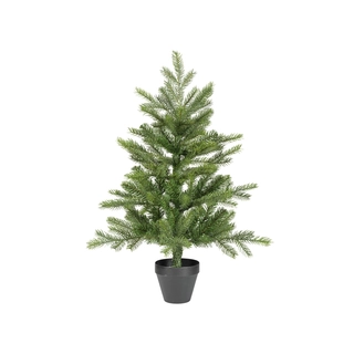 Everlands Grandis mini boom - 75cm - afbeelding 1