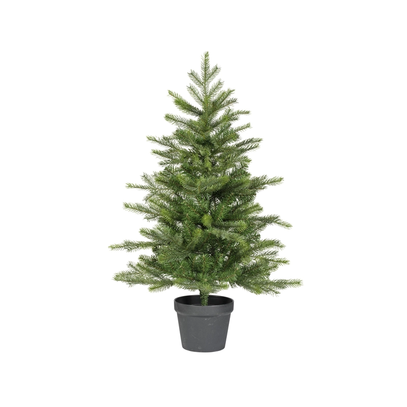 Everlands Grandis mini boom - 90cm - afbeelding 1