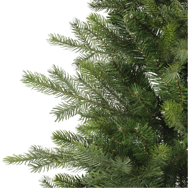 Everlands Grandis mini boom - 90cm - afbeelding 3