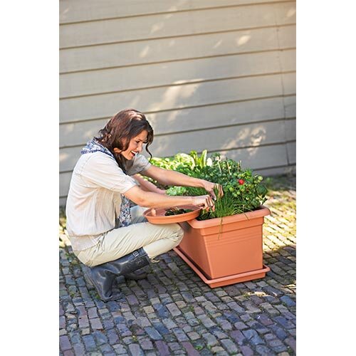 Elho Green Basics Garden XXL 60  cm - Zwart - afbeelding 2