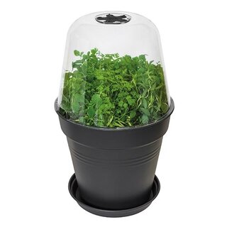 Elho Green Basics Kweekhuis Rond - Ø30 cm - afbeelding 2