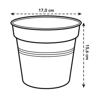 Elho Green Basics Kweekpot Ø17 - Zwart - afbeelding 4