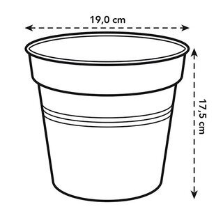 Elho Green Basics Kweekpot Ø19 - Zwart - afbeelding 4