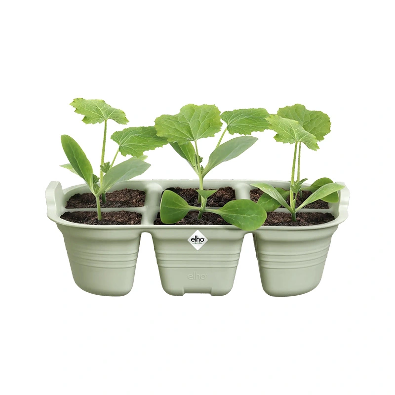Elho Green Basics Zaaitray 22 cm - Steengroen - afbeelding 2