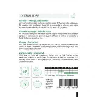 Horti Tops Groenlof vroege zelfsluitende - afbeelding 2