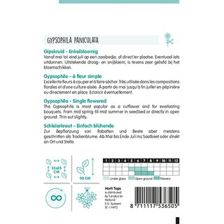 Horti Tops Gypsophila, Gipskruid enkelbloemig wit - afbeelding 2