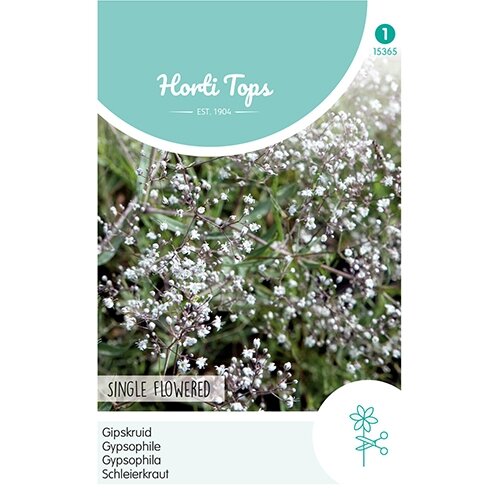 Horti Tops Gypsophila, Gipskruid enkelbloemig wit - afbeelding 1