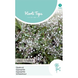 Horti Tops Gypsophila, Gipskruid enkelbloemig wit