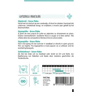 Horti Tops Gypsophila, Gipskruid Snow Flake dubbelbloemig wit - afbeelding 2