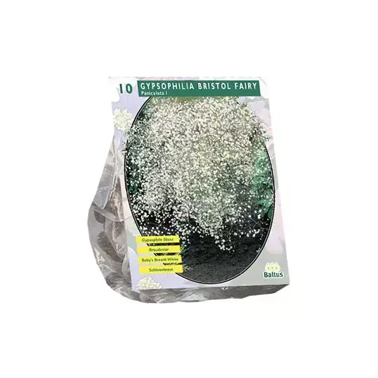 Baltus Gypsophila Paniculata Wit - 10 st.