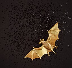 Halloween dieren