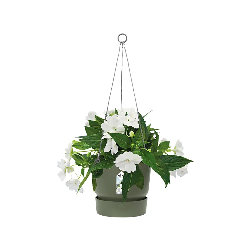 Elho Greenville Hangschaal Ø24 cm - Blad Groen - afbeelding 2