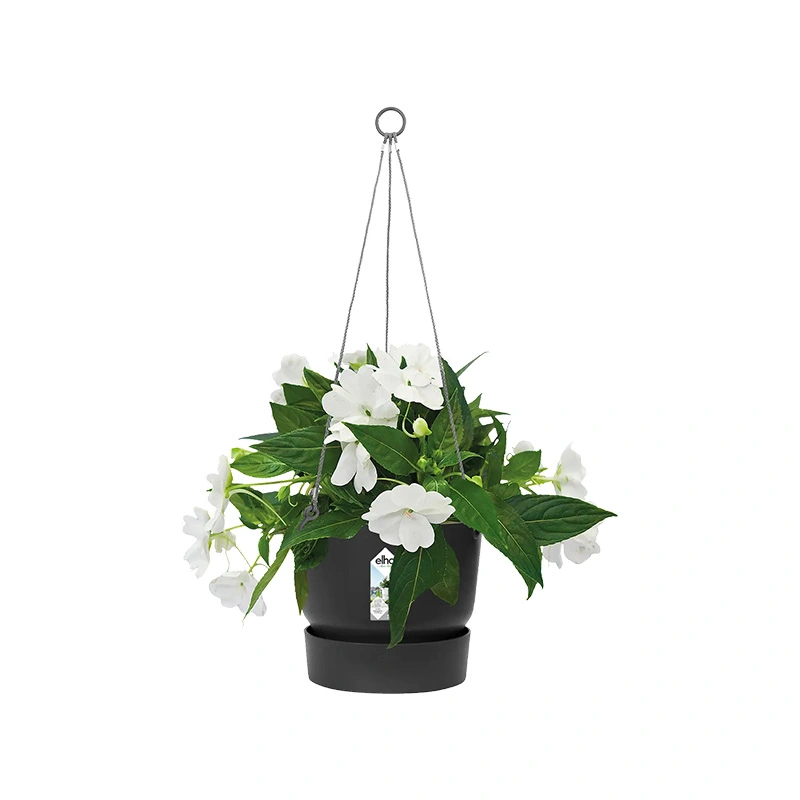 Elho Greenville Hangschaal Ø24 cm - Living Black - afbeelding 2