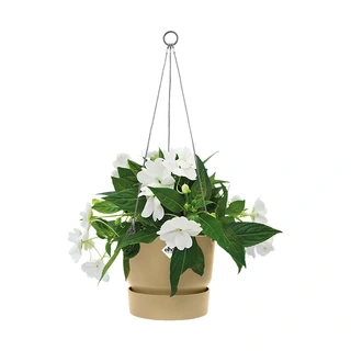 Elho Greenville Hangschaal Ø24 cm - Zand - afbeelding 3