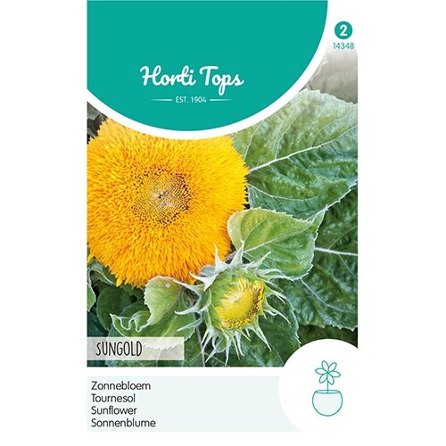 Horti Tops Helianthus, Zonnebloem Sungold dubbelbloemig laag - afbeelding 1