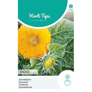 Horti Tops Helianthus, Zonnebloem Sungold dubbelbloemig laag