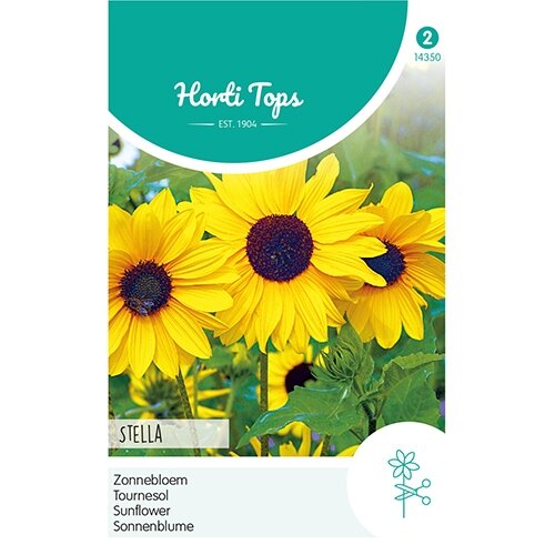 Horti Tops Helianthus, Zonnebloem Stella - afbeelding 1