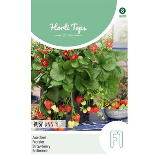 Horti Tops Aardbeien Ruby Ann F1 (hangaardbei) - afbeelding 1