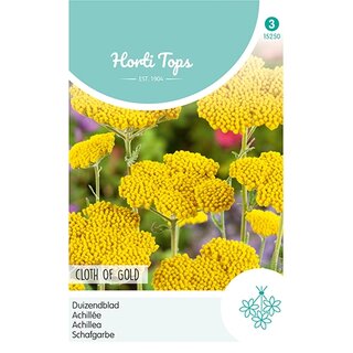 Horti Tops Achillea, Duizendblad Cloth Of Gold - afbeelding 1