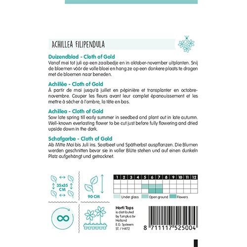 Horti Tops Achillea, Duizendblad Cloth Of Gold - afbeelding 2