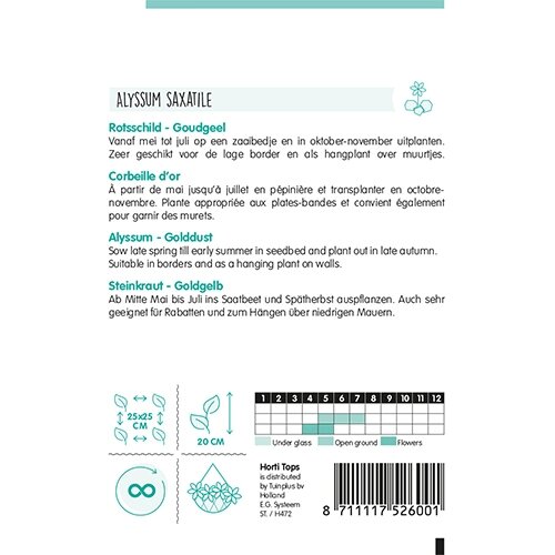 Horti Tops Alyssum, Rotsschild goudgeel - afbeelding 2